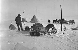 A person stands beside a sled and several dogs in a snowy landscape, with a tent and more dogs in the background—an expedition scene reminiscent of early journeys across Antarctica.