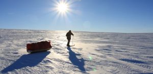 A person skis across a vast snowy landscape in Antarctica, pulling a sled loaded with gear under a bright sun and clear blue sky, supported by Antarctic Logistics and Expeditions.