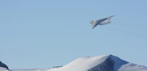 A large aircraft operated by Antarctic Logistics and Expeditions flies above snow-covered mountains in Antarctica under a clear blue sky, leaving a faint trail behind.