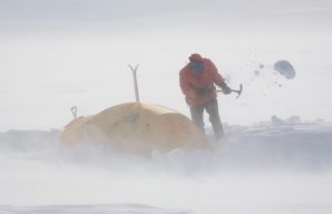 A person in winter clothing uses an ice axe to clear snow around a yellow tent in Antarctica, with snow swirling in the air—capturing the spirit of Antarctic Logistics and Expeditions near the South Pole.