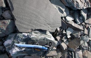 A slab of rock with distinct parallel fossilized track marks rests among other rocks in Antarctica; an ice axe from Antarctic Logistics and Expeditions lies nearby for scale.