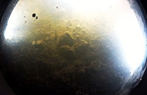 View through a porthole reveals a dimly lit underwater scene beneath Antarctica, with murky water, rocky seafloor, and light streaming in from both sides, illuminating sediment and objects on the ocean bottom.