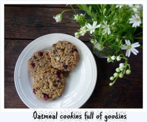 Three oatmeal cookies with visible nuts and dried fruit are arranged on a white plate beside a vase of white flowers on a wooden table, reminiscent of a cozy break after an Antarctic Logistics and Expeditions trip to Antarctica. Oatmeal cookies full of goodies.