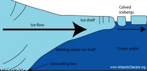 Diagram showing ice flow from land to ocean in Antarctica, forming an ice shelf that floats over ocean water. Calved icebergs break off the shelf. Labels include ice flow, grounding line, and melting under shelf—key for Antarctic Logistics and Expeditions.