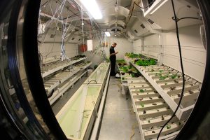 A person stands in a brightly lit indoor facility at the South Pole, tending to rows of hydroponic plants in white trays, surrounded by wires, pipes, and equipment for controlled environment agriculture in Antarctica.