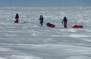 Three people in winter gear pull sleds across a vast, snowy landscape beneath a clear blue sky, highlighting the extreme cold of Antarctica—possibly on an expedition supported by Antarctic Logistics and Expeditions.
