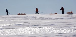 Three people trek across the snowy landscape of Antarctica, pulling sleds loaded with supplies behind them under a clear sky—a journey made possible with Antarctic Logistics and Expeditions. Their silhouettes stand out against the bright, snow-covered ground.