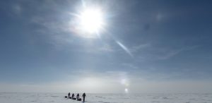 A group of people pulls sleds across a vast, snowy Antarctic landscape under a bright sun in a clear blue sky, supported by Antarctic Logistics and Expeditions.
