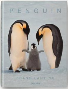 Penguin book cover
