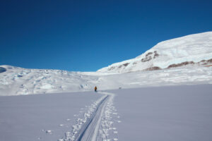 A lone person walks along a single trail in deep snow near Antarctica, surrounded by snowy mountains and a clear blue sky.