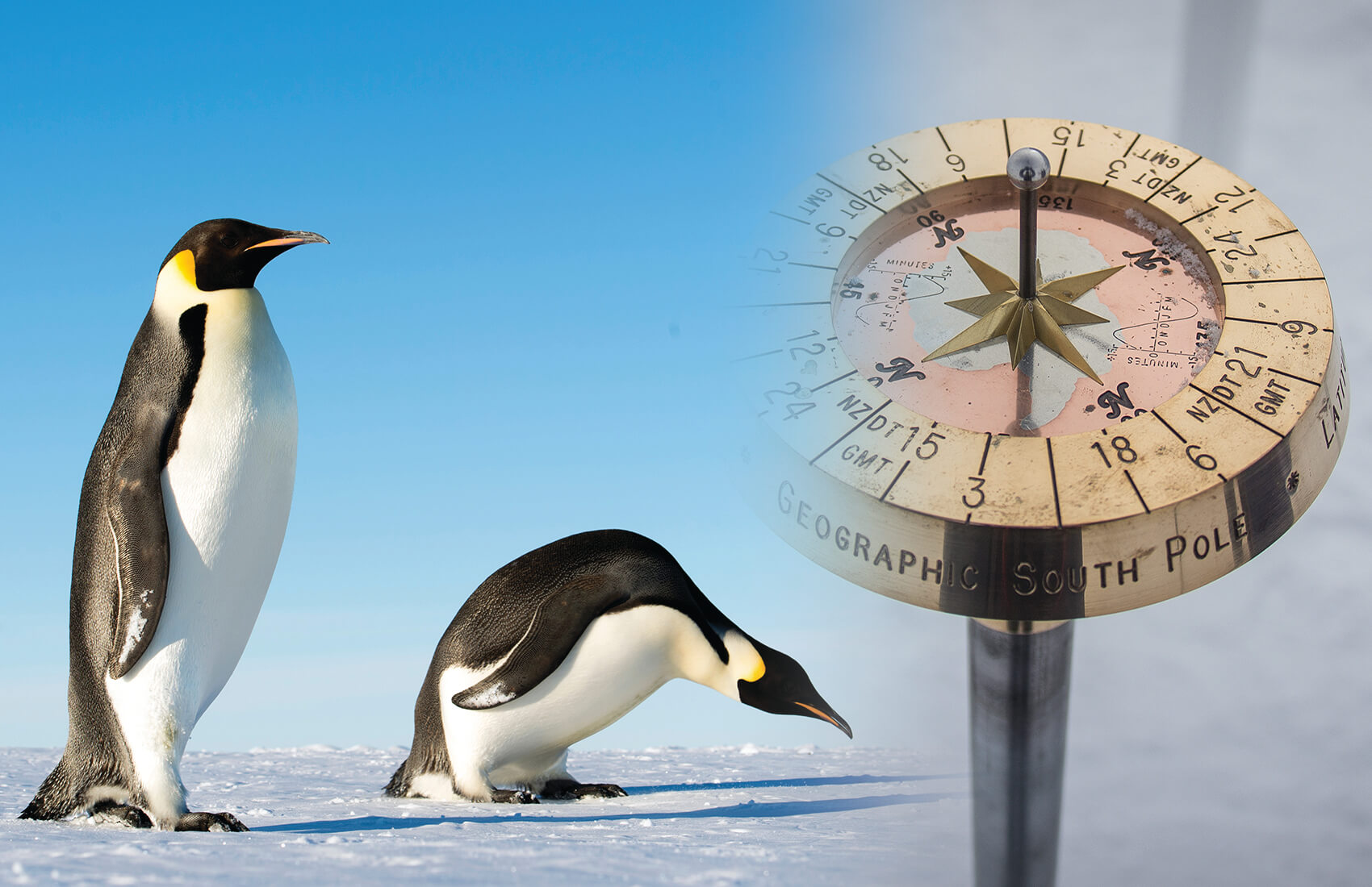Two emperor penguins stand on snowy ground under a blue Antarctic sky. The image is blended with a close-up of a weathered Geographic South Pole marker, featuring degree markings and a gold star—a scene iconic to Antarctic Logistics and Expeditions.