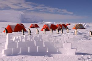 A line of emperor penguins stands on snowy ground near orange tents at an Antarctica campsite. Snow blocks in the foreground spell Emperor Camp, while large ice formations rise in the background under a partly cloudy sky.