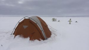 An orange tent is pitched on a snowy Antarctic landscape with a small group of penguins standing in the distance under a cloudy sky, capturing the remote beauty of Antarctica.