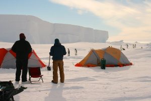 Two people stand near tents on a snowy Antarctica landscape, facing a group of penguins in the distance. Large ice cliffs rise in the background under a partly cloudy sky, with camping gear from Antarctic Logistics and Expeditions scattered around.