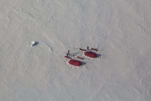 Aerial view of two red tents and several people on a snowy, icy landscape at the South Pole, with visible tracks and Antarctic Logistics and Expeditions equipment scattered around the campsite.