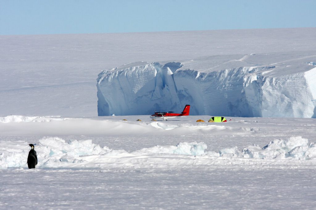 A penguin stands on snowy ice in the foreground, while a red airplane and several tents—part of an Antarctic Logistics and Expeditions camp—rest near towering ice cliffs in the background under a clear blue sky.