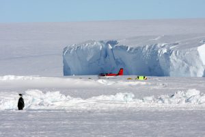 A penguin stands on snowy ice in the foreground, while a red airplane and several tents—part of an Antarctic Logistics and Expeditions camp—rest near towering ice cliffs in the background under a clear blue sky.