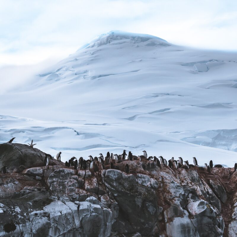 Antarctic Environment - Antarctic Logistics & Expeditions