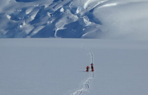 Four people in winter gear walk in a line through deep snow in Antarctica, leaving a trail behind them. They head towards snowy mountains and glaciers under a clear blue sky, embodying the spirit of Antarctic Logistics and Expeditions.