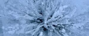 White frost or ice crystals spread in a starburst pattern across a cold blue surface, evoking the textured, wintery abstract beauty of Antarctica and the icy expanses near the South Pole.