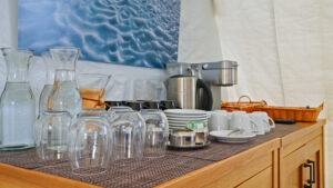 Three Glaciers Retreat in Antarctica water, coffee, tea options