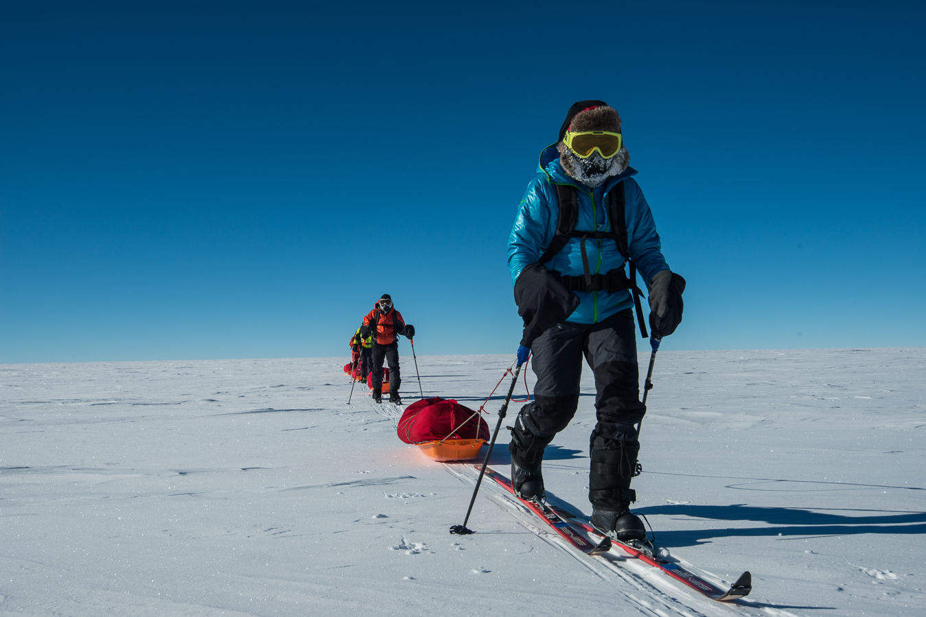 Four people dressed in cold-weather gear ski across a snowy, flat landscape under a clear blue sky in Antarctica, pulling sleds with their equipment behind them as part of an Antarctic Logistics and Expeditions journey.