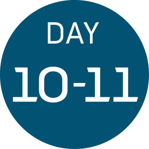 A blue circle with the white text DAY 10-11 in the center, representing progress during an Antarctica journey with Antarctic Logistics and Expeditions.