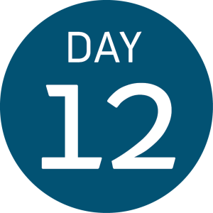 A blue circle with the words DAY 12 in white, featuring DAY in uppercase letters above a large number 12—perfect for tracking your South Pole adventure with Antarctic Logistics and Expeditions.