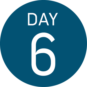 A blue circle with the words DAY 6 in white, bold letters and numbers in the center—perfect for tracking your Antarctic Logistics and Expeditions journey to Antarctica or the South Pole.