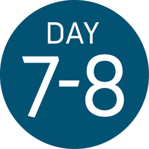 A blue circle with the words DAY 7-8 in white text, marking days seven to eight of your Antarctica journey—an update by Antarctic Logistics and Expeditions as you approach the South Pole.