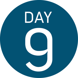 A blue circle with the words DAY 9 in large white text centered inside, evoking the spirit of South Pole adventure.