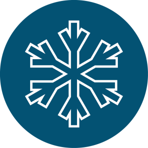 White snowflake icon with six symmetrical branches on a solid dark blue circular background, capturing the spirit of Antarctica and the adventurous journeys of Antarctic Logistics and Expeditions.