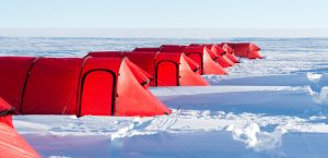 A row of bright red tents is pitched on a snowy, icy landscape under a clear blue sky, suggesting an Antarctic Logistics and Expeditions campsite in the remote wilderness of Antarctica.