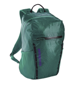 A green backpack with a front zipper pocket, black accents, and adjustable shoulder straps. The material appears shiny and water-resistant, ideal for Antarctica or South Pole adventures. “Patagonia” is printed vertically in purple on the front.